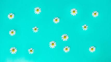 seamless background with flowers and butterflies