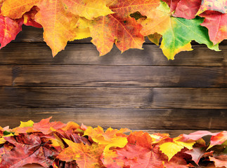 Obraz premium autumn colored fall leaves on wooden background