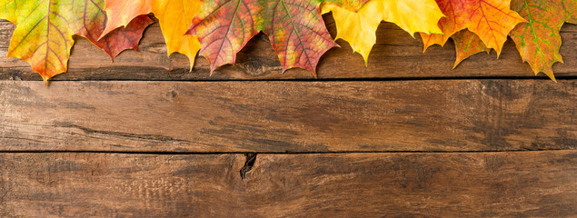 Composition of colourful autumn leaves on rustic background. Fall concept. Banner