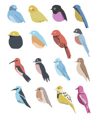 collection of colorful birds digital art