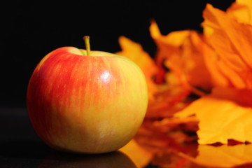 Red-yellow autumn mood.