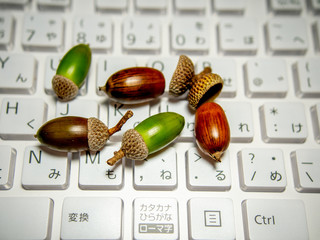 キーボードの上のドングリ
