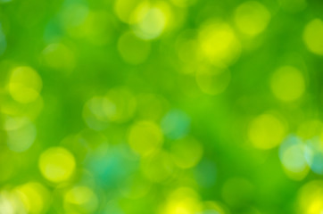 Green bokeh background from nature forest out of focus