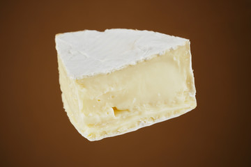 isolated piece of camembert cheese on brown background. macro shot