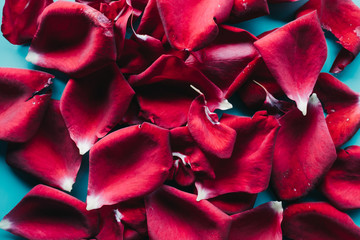 red rose petals