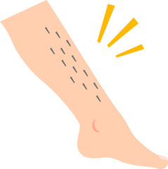 スネに太い毛が生えた足