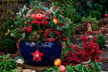 Winterly Decoration In Blue Pot