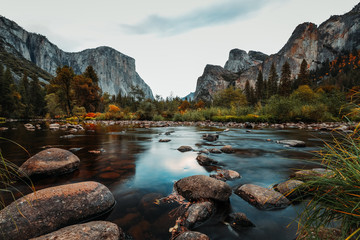 Yosemite / Tunnel View / El Capitan Meadow