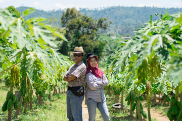 portrait of middle aged farmer couple's folded thier arm at california papaya farm at sunny days