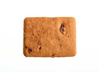 Biscuit (cookies) with cranberry