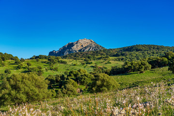 Landscape near Ubrique, Cadiz. Spain, Andalusia in the park of Alcornocales