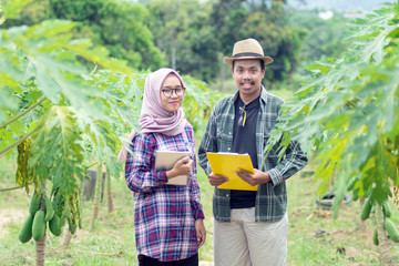 portrait of two young farmer's checking the quality of the papaya plant at the farm land