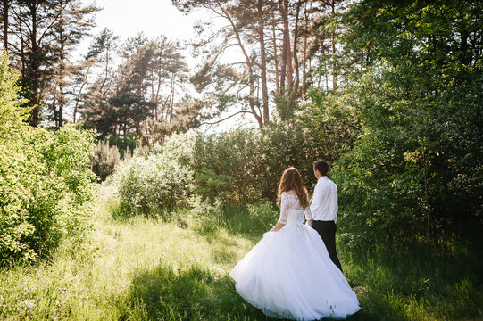 The bride and groom are walking their backs in the forest and admire nature and look at the landscape. Wedding ceremony and photo shoot outdoors. Newlyweds. Rear view.
