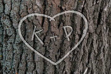 the names of peopel who love each other in the shape of heart carved on the tree