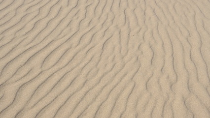  Sand by the river. Defocused Background. Template for design.