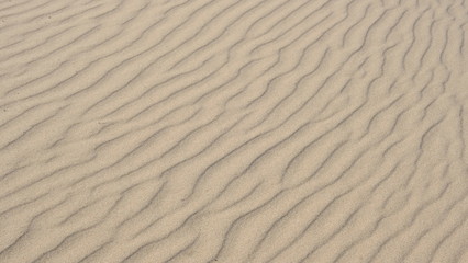  Sand by the river. Defocused Background. Template for design.
