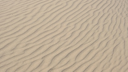  Sand by the river. Defocused Background. Template for design.