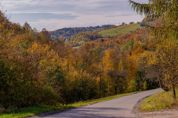 Road in Mountains covered with forest in the autumn season