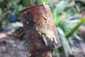 Rusty cans of used goods