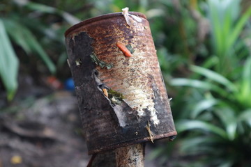 Focused photo of rusty cans against a background of green leaves