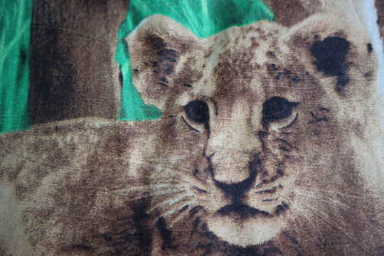 Painting of a lion cub
