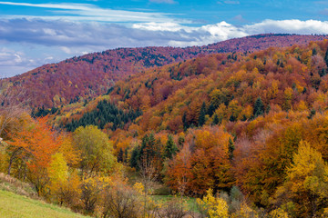 Mountains covered with forest in the autumn season