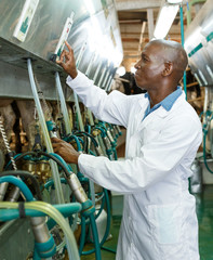 Man working at milking line