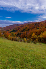 autumn landscape in mountains