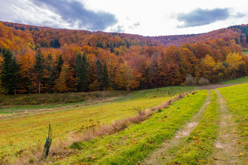Naklejka premium autumn landscape with back road