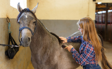 Girl using electric trimmer for shearing horse