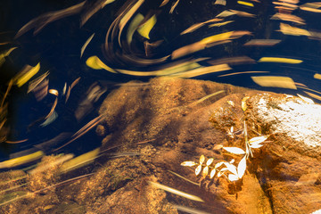 water swirl formed in a stream in the mountains of Madrid