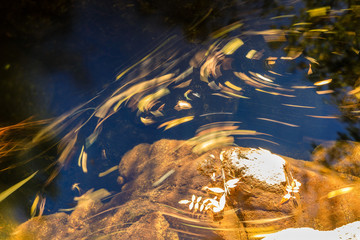 water swirl formed in a stream in the mountains of Madrid