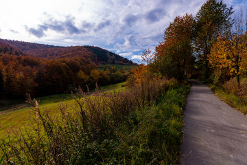 Road in the mountains at autumn.