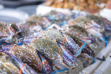 Crabs that are on sale in the fresh seafood market are beautifully placed. Fresh seafood seafood concept