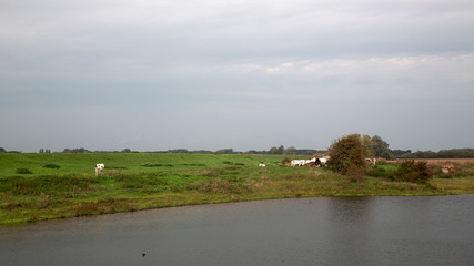 Landscape of Dutch river Meuse near Nederhemert, Netherlands