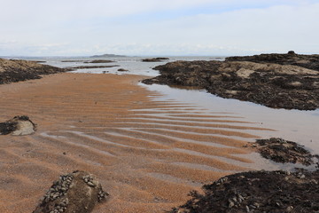 Ripples left in the sand at low tide