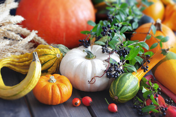 Varieties of pumpkins with fruits of the harvest, closeup.