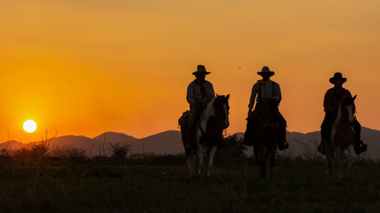 Three of Cowboys riding horses at sunset.