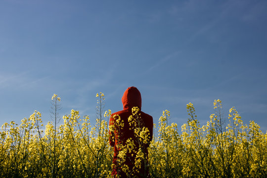 homme en rouge dans champ jaune
