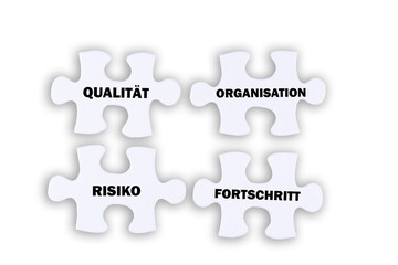 Qualität Organisation Risiko Fortschritt