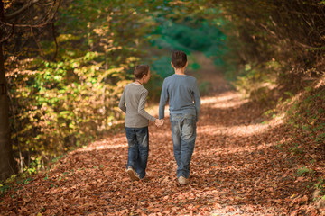 Fototapeta premium the boys walks down a mountain path