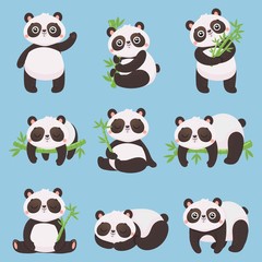 Fototapety  Kreskówka panda dla dzieci. Małe pandy, zabawne zwierzątka z bambusem i uroczy śpiący miś panda. Doodle maskotka pandy ssak postać naklejki lub zabawki dla dzieci. Zestaw ikon ilustracja na białym tle wektor