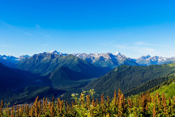 Fototapeta premium snowy peaks of the caucasian mountains on a summer day
