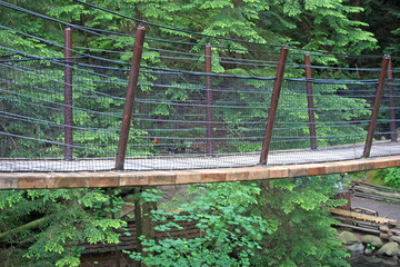 Capilano river suspension bridge park, Canada