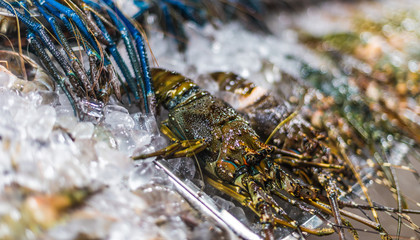 Traditional Vietnamese street food sold in Da Nang night market