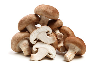 Shiitake mushroom on the White background 