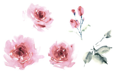 Flowers watercolor illustration.Manual composition.Big Set watercolor elements.