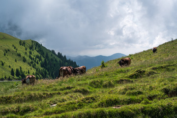 Beautiful landscape with mountains in Transylvania, Romania, Europe.