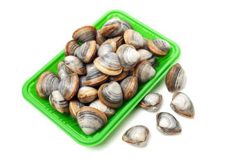 fresh raw Surf clam on white background