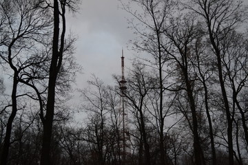 Tower among the trees on a cloudy evening